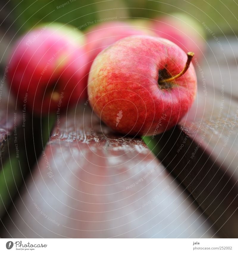 CHAMANSÜLZ | apples Food Fruit Apple Organic produce Vegetarian diet Finger food Healthy Delicious Red Colour photo Exterior shot Deserted Day