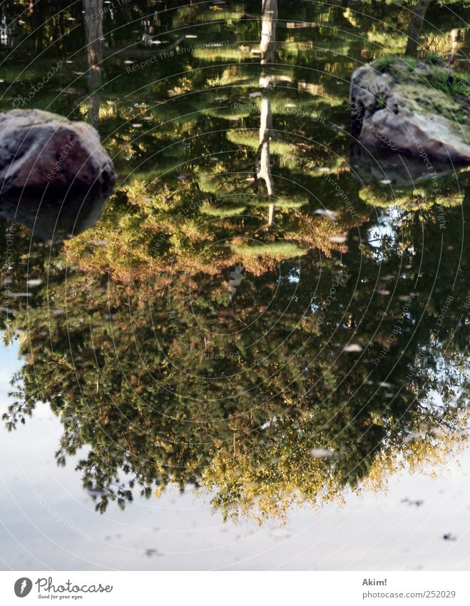 Mirrorlake - Japanese Garden Landscape Water Autumn Tree Park Rock Pond Lake Esthetic Beautiful Yellow Green Emotions Calm Contentment Japanese garden Feng Shui