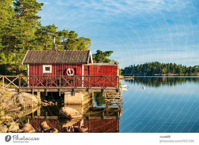 Archipelago off the Swedish coast of Stockholm Relaxation Vacation & Travel Tourism Island House (Residential Structure) Nature Landscape Clouds Tree Coast