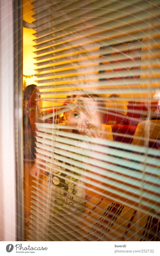 look at it Child Human being Toddler 1 - 3 years Window Door Observe Discover Looking Curiosity Moody Infancy Venetian blinds Rumbled Vista Colour photo