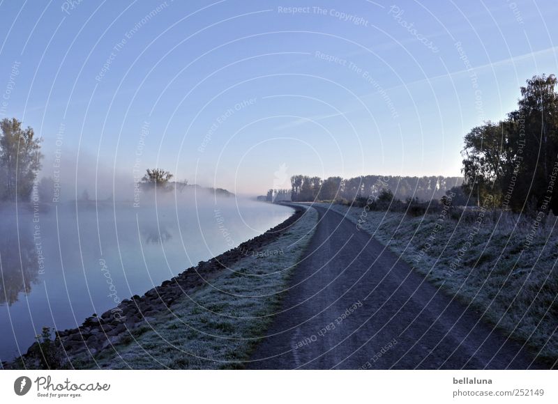 Autumn morning at the canal Environment Nature Landscape Sky Clouds Sunrise Sunset Beautiful weather Fog Coast River bank Cold Channel Reflection Tree Water