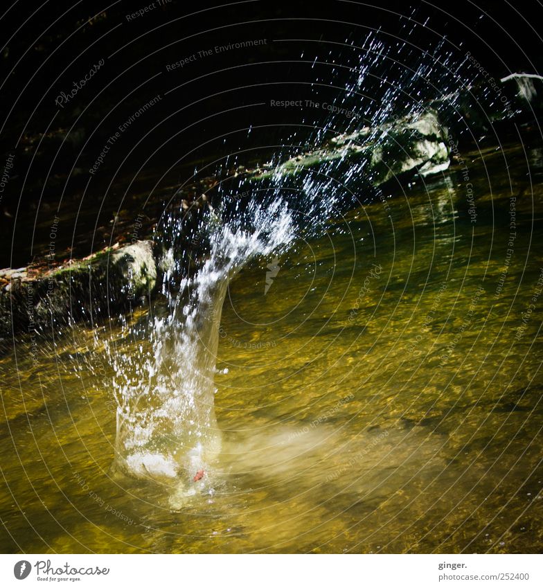 Splash!!!! [CHAMANSÜLZ 2011] Nature Water Throw Inject Water fountain River Brook Flat Stone Playing Joy Absurdity Colour photo Subdued colour Exterior shot