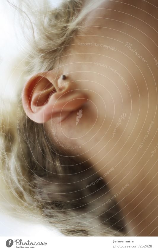 male Hair and hairstyles Skin Face Ear 1 Human being Blonde Bright Near Exterior shot Macro (Extreme close-up) Day Sunlight Worm's-eye view