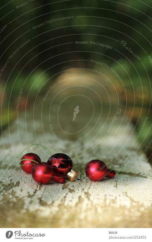 ball bearing Feasts & Celebrations Environment Nature Kitsch Odds and ends Glass Glittering Lie Round already Red Joy Christmas decoration Christmas & Advent