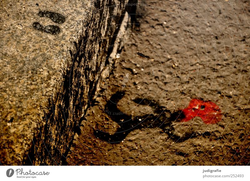 jumped Art Street Sign Graffiti Lie Jump Crazy Red Moody Death Exhaustion Symbols and metaphors Suicide Accident Blood Curbside Footprint Colour photo