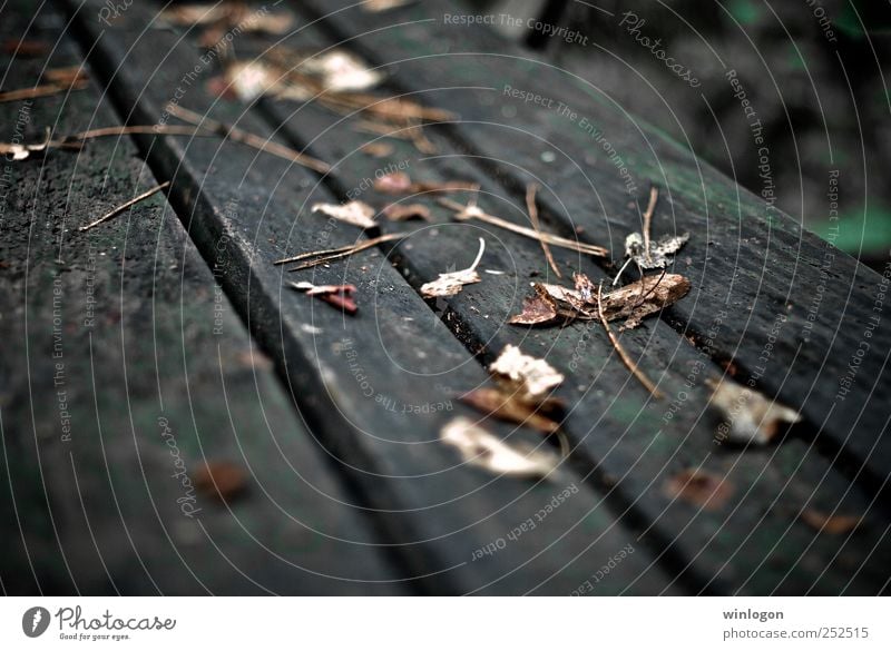 foliage Nature Autumn Plant Leaf Bench Park Old Yellow Gray Autumnal Wood Life Garden Time To fall Lie Simple Wet Beautiful Grief Dry Autumn leaves Automn wood