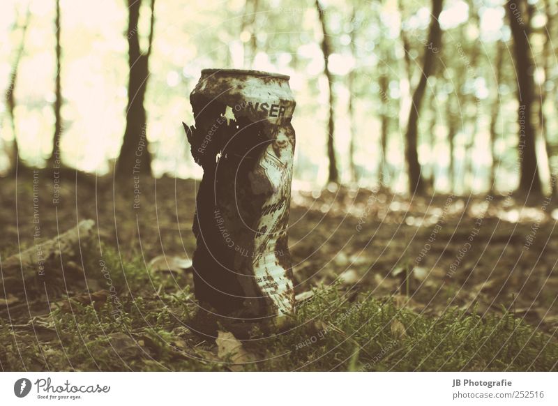 Rust from the can Forest Tin Old Dirty Retro Vintage Sepia Light Archaic Sign of old age Weathered Derelict Second-hand Going Subdued colour Exterior shot Day