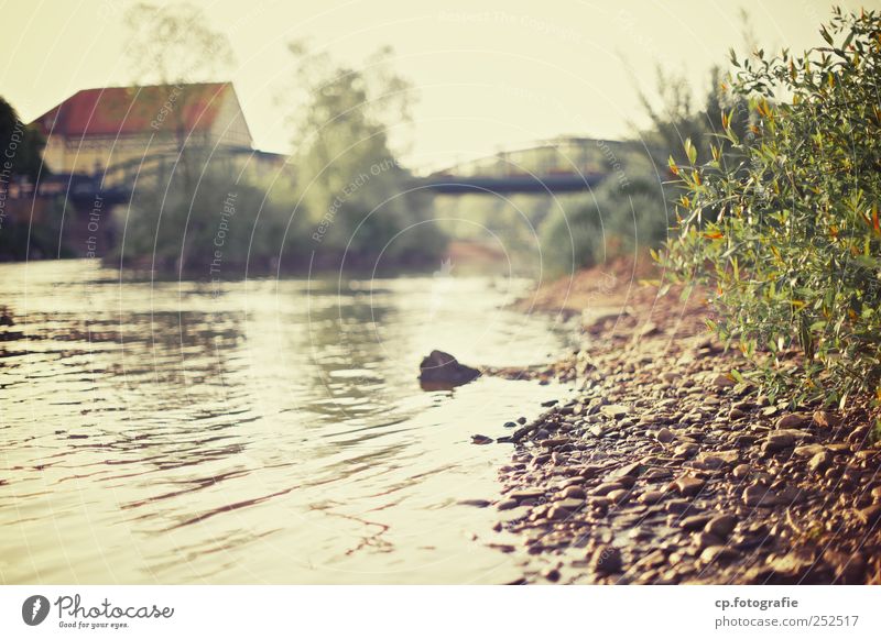 river banks Nature Elements Water Summer Autumn Beautiful weather Plant Bushes Foliage plant River bank Small Town Deserted House (Residential Structure) Bridge