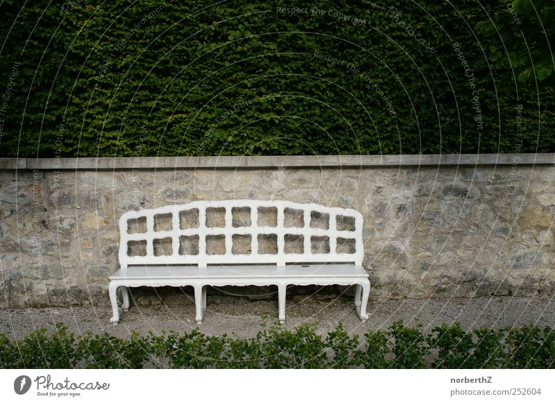 Bench with wall and hedge Garden Sculpture Nature Beautiful weather Plant Bushes Stone Calm Death Subdued colour Exterior shot Deserted Copy Space right Day