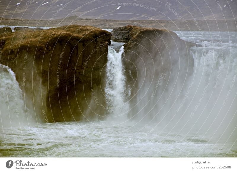 Iceland Environment Nature Landscape Elements Water Climate Rock Canyon River Waterfall Godafoss Gigantic Wet Natural Wild Moody Power Massive White crest