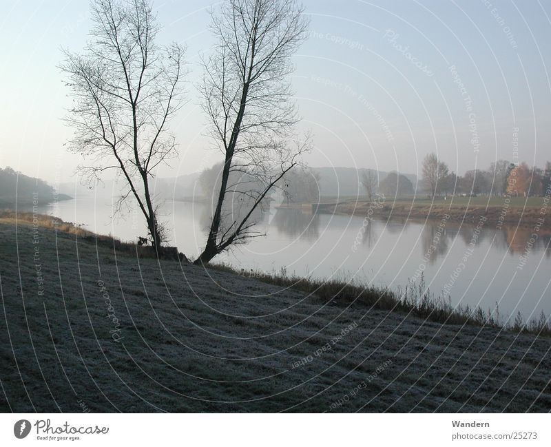 Elbe in autumn Saxony Autumn Fog Merschwitz Nature