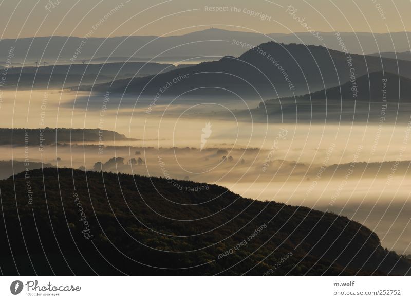 ray of hope Environment Nature Landscape Sunrise Sunset Sunlight Autumn Fog Forest Hill Mountain Rhön Highlands Uniqueness Idyll Sustainability Calm Tourism