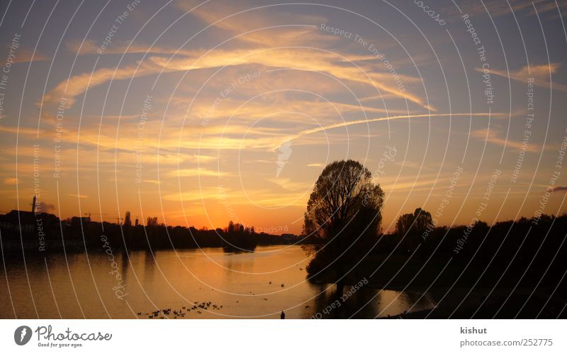 sunset Heidelberg Neckarwiese Sunset Water River Sky Nature Clouds Blue Reflection Serene lines &#1513;&#1511;&#1497;&#1506;&#1514; &#1492;&#1513;&#1502;&#1513;