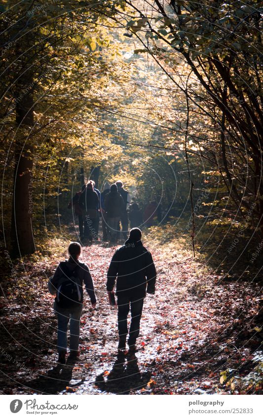 Autumn leaves Hiking Human being Masculine Friendship Life 2 Group Environment Nature Landscape Beautiful weather Tree Leaf Forest To enjoy Walking