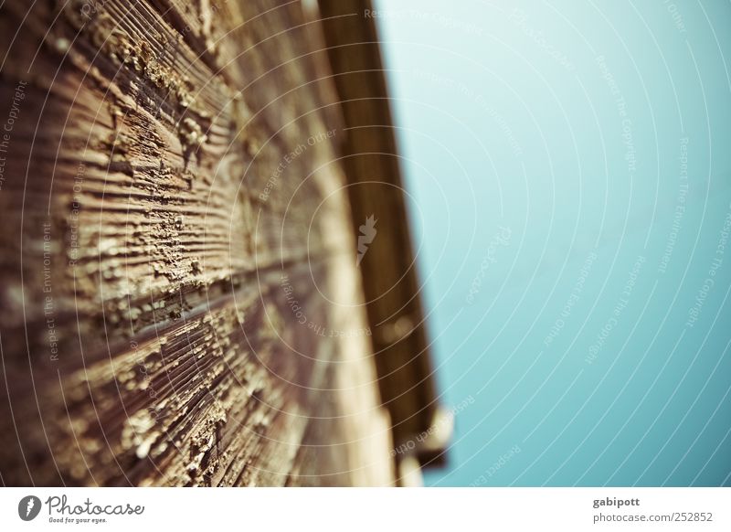 woodworm perspective Cloudless sky Beautiful weather House (Residential Structure) Hut Ruin Building Wall (barrier) Wall (building) Facade Wood Exceptional