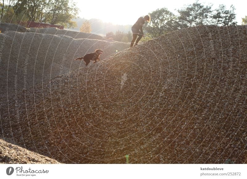 la balade Animal Pet Dog 1 Stone Sand Observe Movement Discover Going Vacation & Travel Looking Playing Romp Free Together Cold Above Gray Optimism Willpower