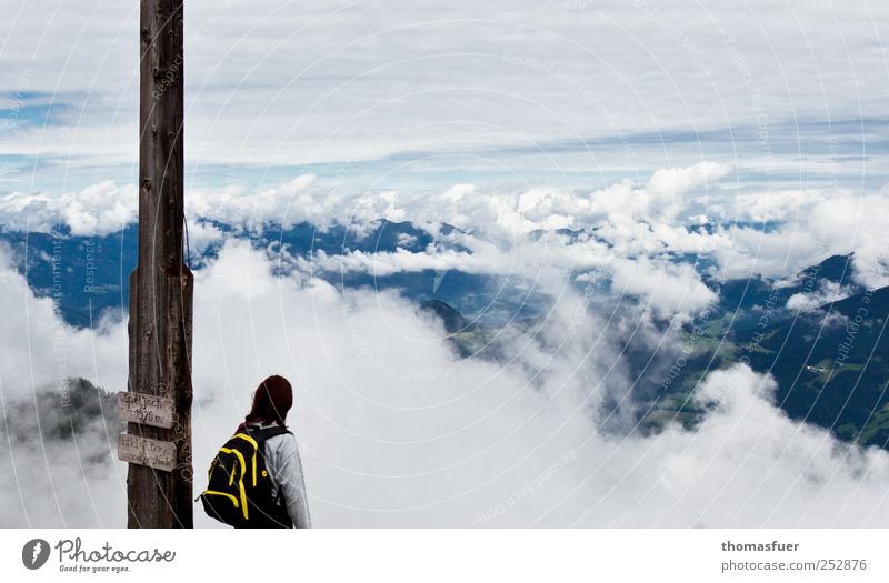 above the clouds Vacation & Travel Far-off places Freedom Mountain Hiking Human being Woman Adults 1 Landscape Air Sky Clouds Autumn Alps Peak Backpack Looking