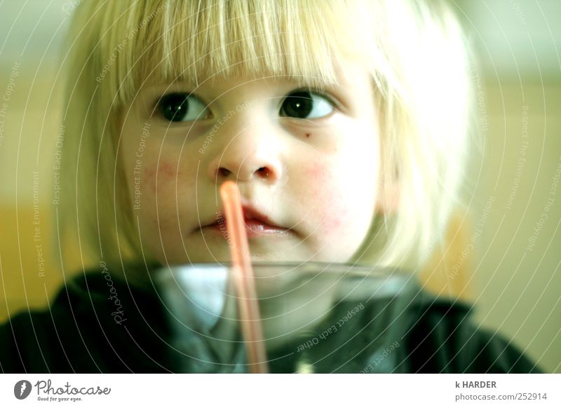 just can't be distracted Beverage Drinking Human being Toddler Girl 1 1 - 3 years Think Beautiful Multicoloured Yellow Thirst Colour photo Interior shot Day