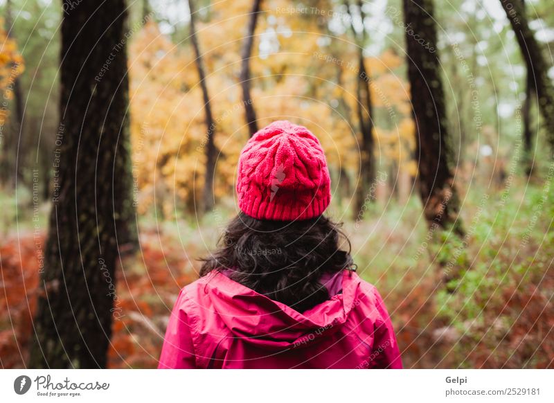 Matured woman hiking in the forest at winter Lifestyle Beautiful Face Freedom Winter Human being Woman Adults Nature Autumn Tree Leaf Park Forest Lanes & trails