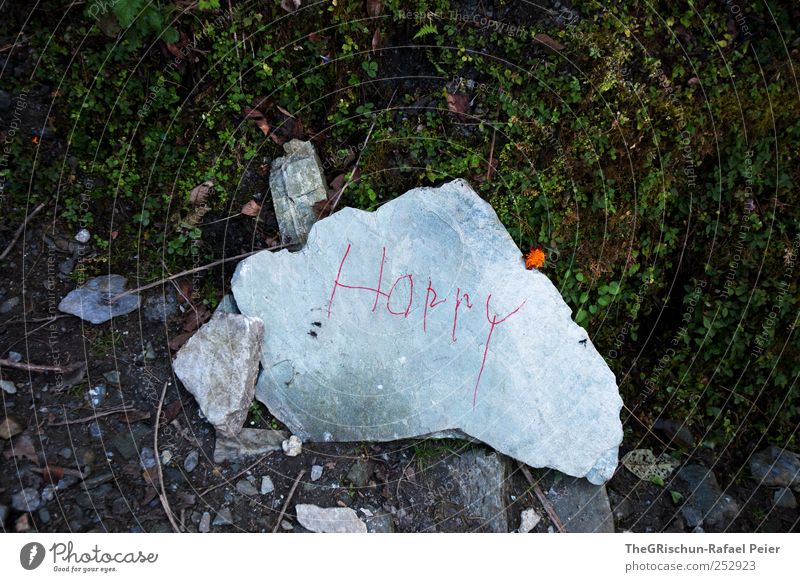 happy stone Stone Original Gray Green Red Joy Happiness Contentment Art Moss Nepal Leaf Colour photo Exterior shot Day Shadow