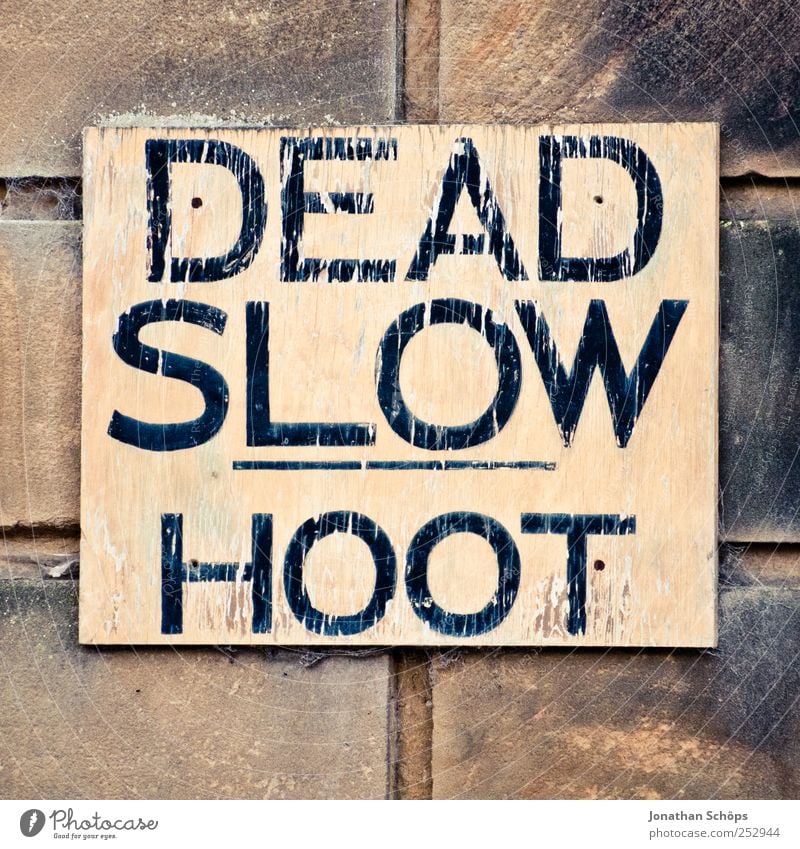 DEAD SLOW HOOT Art Whimsical Wall (barrier) Signs and labeling Clue Signage Wood Stone Direct Typography Characters Warn Warning sign Flake off Capital letter