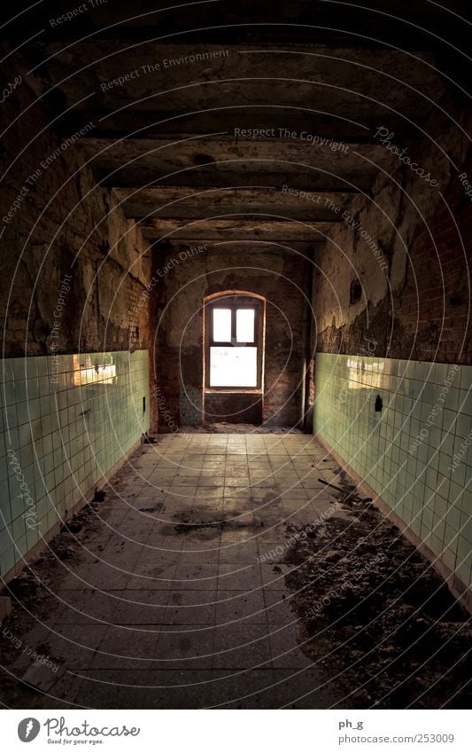 Don't go any further Magdeburg Germany Europe Deserted Industrial plant Manmade structures Building Architecture Brewery abandoned building Window Room Old Dark