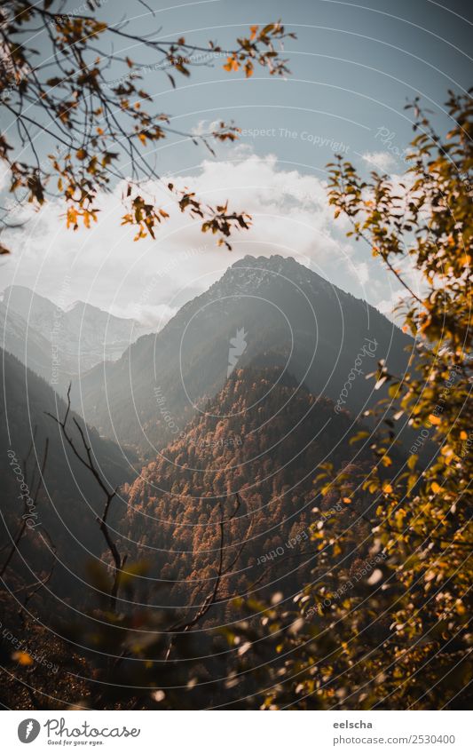 mountain scenery Nature Landscape Air Sky Clouds Sunlight Autumn Beautiful weather Snow Tree Bushes Leaf Foliage plant Forest Hill Rock Mountain Peak