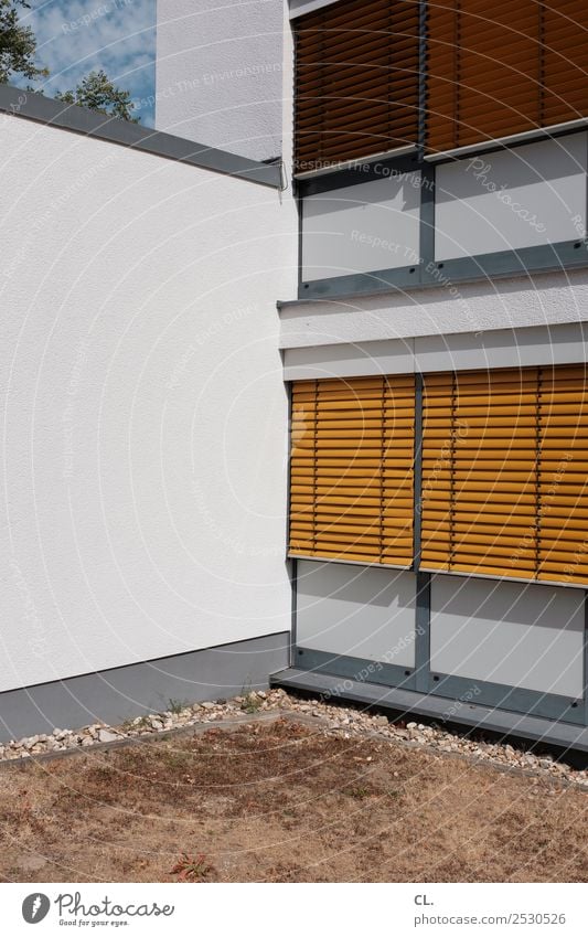 yellow blinds, brown lawn Office Summer Warmth Drought Grass Deserted House (Residential Structure) Building Architecture Wall (barrier) Wall (building) Window