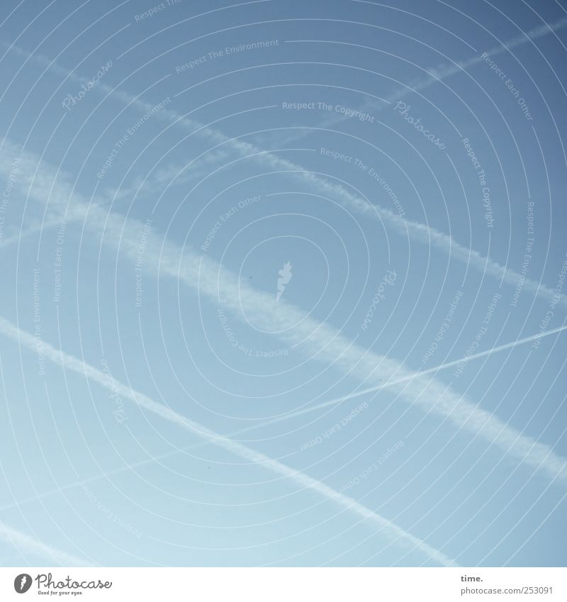 Sky over Frankfurt Contentment Aviation Environment Air Wind Crucifix Blue White Symmetry Vapor trail Blown away crosswise Balance Colour photo Subdued colour