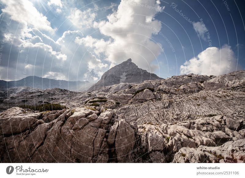 mountaintop Hill Rock Alps Mountain Peak Hiking Berchtesgaden Alpes Steinernes Meer Schönfeldspitze Slope Mountaineering Hilltop Colour photo