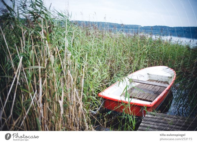 photo with oblique horizon Vacation & Travel Nature Water Plant Foliage plant Lakeside Natural Blue Green Red White Calm Adventure Loneliness Relaxation Horizon