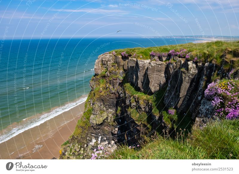 Mountains, sky and sea Vacation & Travel Summer Nature Landscape Sky Clouds Horizon Flower Grass Meadow Hill River Street Lanes & trails Blue Green