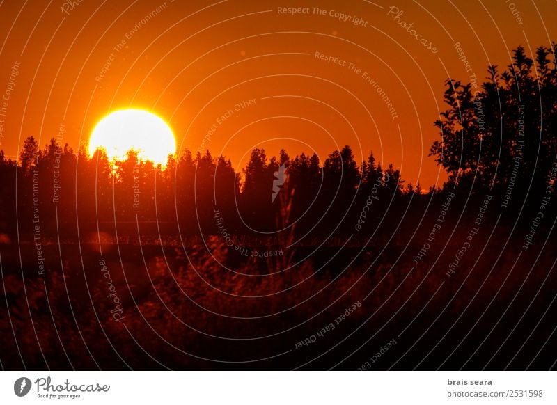 Sunset over forest Beautiful Vacation & Travel Tourism Trip Summer Mountain Solar Power Environment Nature Landscape Earth Sky Horizon Autumn Tree Park Forest