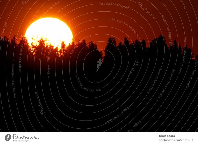 Sunset over forest Beautiful Vacation & Travel Tourism Trip Summer Mountain Solar Power Environment Nature Landscape Earth Sky Horizon Autumn Tree Park Forest