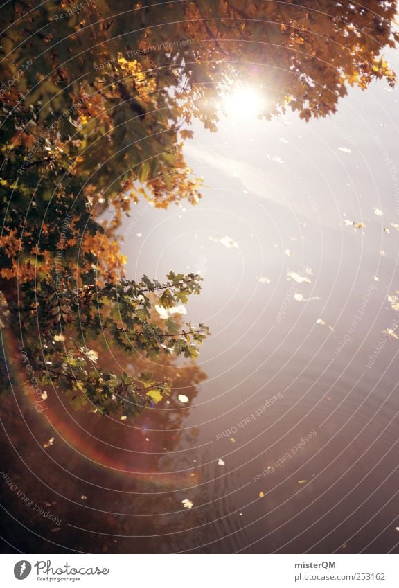 Autumn sky. Art Esthetic Autumn leaves Autumnal Early fall Autumnal colours Automn wood Autumnal weather Autumn wind Autumnal landscape Leaf Flare Refraction