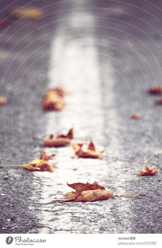 Roadside. Traffic infrastructure Esthetic Autumn Autumn leaves Autumnal Early fall Autumn wind Street Curb Lane markings Asphalt Line Stripe Right ahead Future