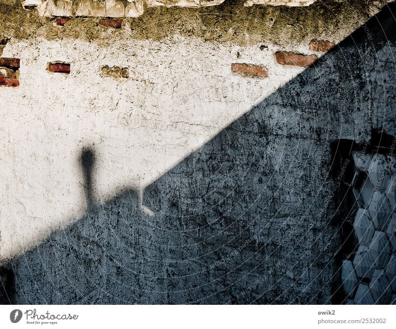 semi-shade Wall (barrier) Wall (building) Facade Chimney Old Trashy Gloomy Dry Town Decline Transience Derelict Brick Ravages of time Plaster Rendered facade