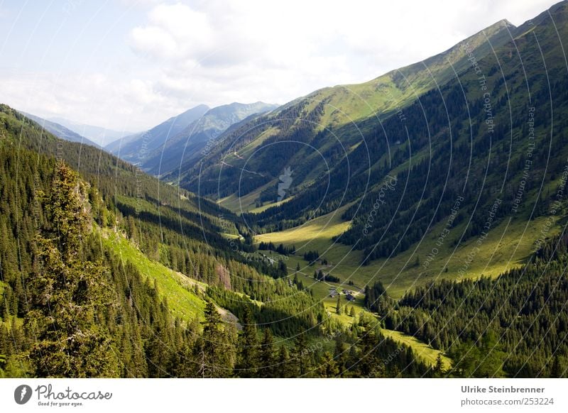 green lung Vacation & Travel Tourism Environment Nature Landscape Plant Sky Clouds Summer Beautiful weather Tree Field Forest Hill Alps Mountain Lower Tauern