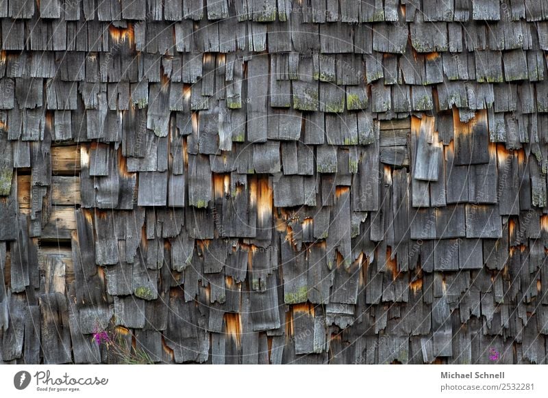 Old house wall in Tyrol Tannheimer Valley Federal State of Tyrol Austria Europe House (Residential Structure) Hut Facade Poverty Dark Broken Natural Gloomy