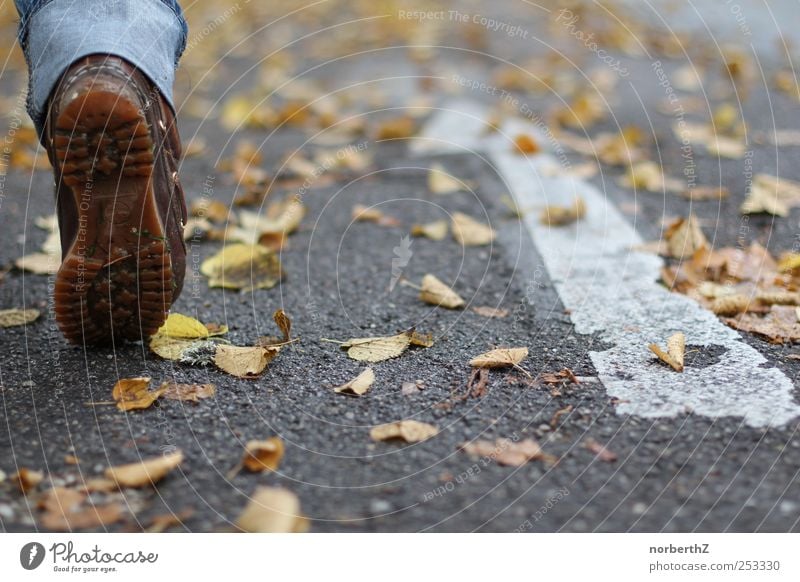 foot street autumn arrow Feet 1 Human being Autumn Leaf Street Arrow Walking Colour photo Subdued colour Exterior shot Detail Copy Space right Day Light Shadow