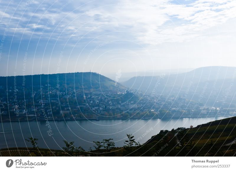 On the Rhine Nature Landscape Water Sky Clouds Sunlight Weather Beautiful weather Hill Coast River bank Village Small Town House (Residential Structure) Blue