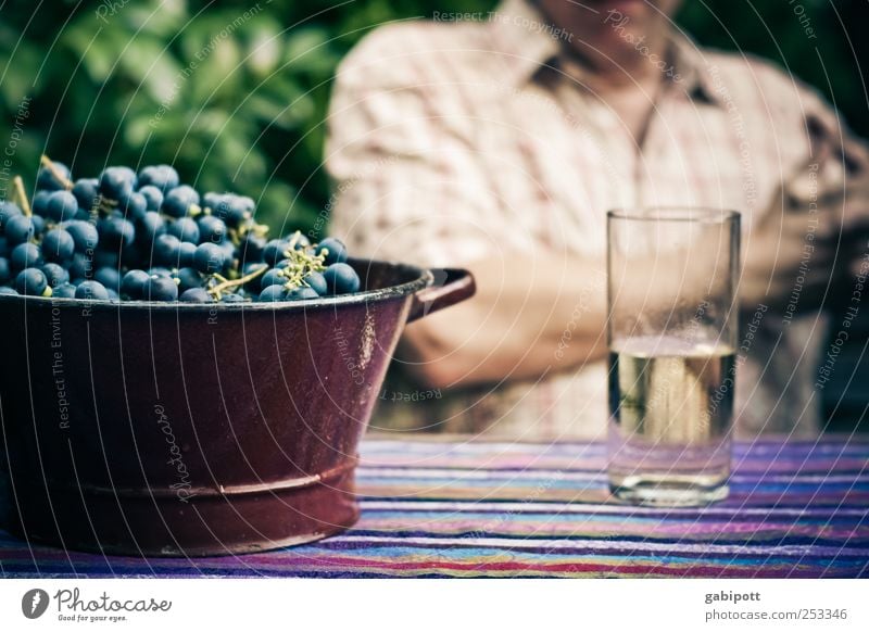 Ripe fruits Nutrition Picnic Bunch of grapes Beverage Cold drink Wine Spritzer Glass Healthy Alcoholic drinks Well-being Flat (apartment)