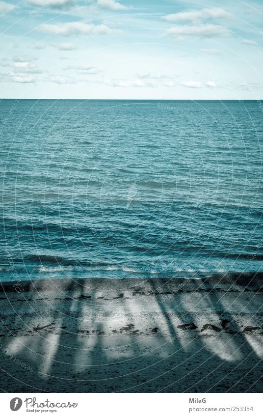 sea view Water Sky Clouds Beautiful weather Tree Coast Baltic Sea Ocean Line Relaxation Vacation & Travel Cold Blue Calm Loneliness Horizon Power Dependability