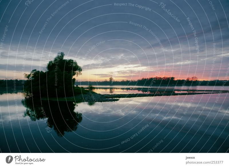 Evening of silence Nature Sky Clouds Sunrise Sunset Sunlight Summer Beautiful weather Tree Lakeside River bank Blue Red Black Romance Calm Idyll Environment