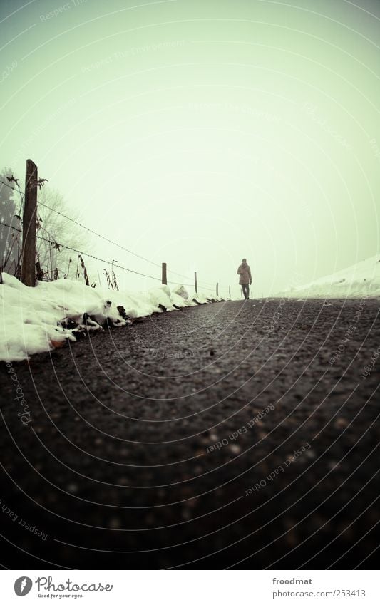 roadside Human being Nature Winter Bad weather Fog Freeze Hiking Cold Gloomy Lanes & trails Asphalt Fence Barbed wire fence To go for a walk Shroud of fog