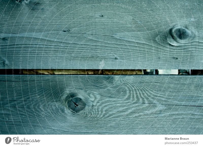 woodshed wall Wood Old Gray Fir tree Wall (building) Wooden wall Wooden board Seam Wood grain wooden eye Branch Nature Weathered Structures and shapes