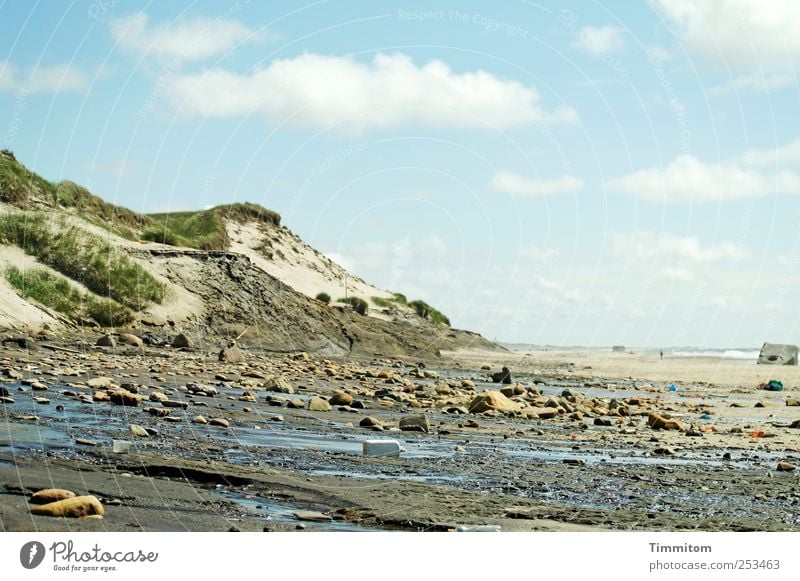 Dune with moraine Vacation & Travel Trip Summer Beach Ocean Environment Nature Landscape Elements Sand Water Clouds Beautiful weather Coast North Sea Denmark