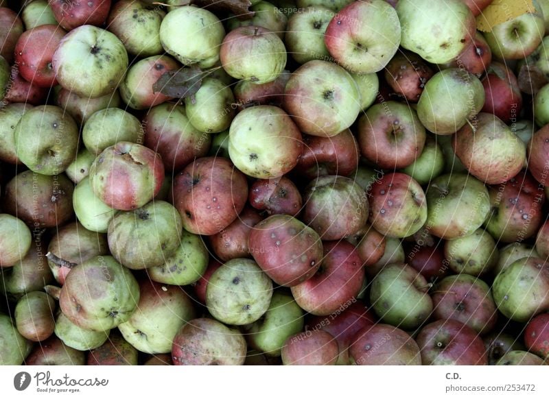 what became of the good apples... Food Fruit Apple Disgust Cold Green Red Compost Mold Consumed Bum around get mouldy Colour photo Exterior shot Day