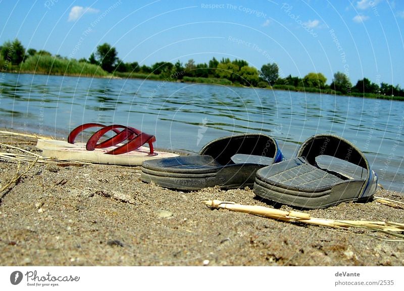 beach couple Sandal Flip-flops Lake Beach Close-up