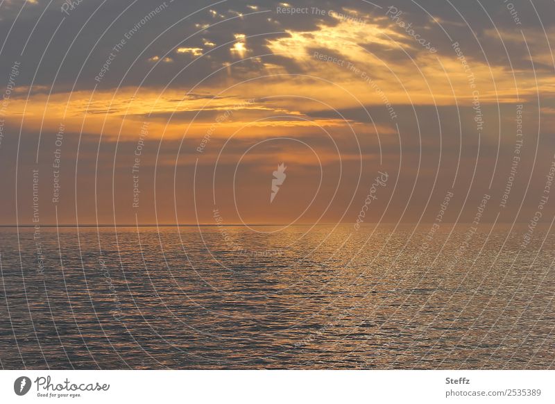 Evening light on the Irish Sea Muir Éireann evening light Ocean Maritime Sunset Nordic Twilight Nordic romanticism Far-off places Horizon Clouds Sunlight